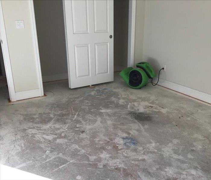 grey carpet with one green machine by closet doors cleaning odor control near me clean smell near Arden arcade smell in house