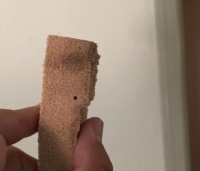 smoke sponge with soot damage from wildfire smoke